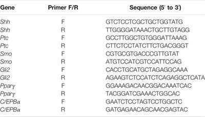 Exosomes Derived From Human Adipose-Derived Stem Cells Inhibit Lipogenesis Involving Hedgehog Signaling Pathway